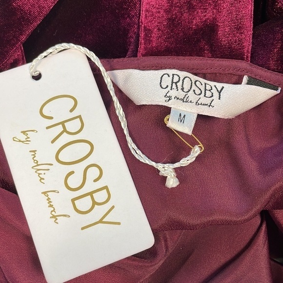 NWT Crosby by Mollie Burch Ellie Velvet Mini Swing Trapeze Dress Cabernet Red M - Picture 13 of 14